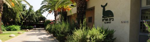 Veterinary Wildlife Hospital – Safari Ramat Gan
